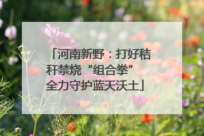河南新野：打好秸秆禁烧“组合拳” 全力守护蓝天沃土