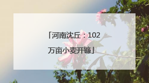 河南沈丘：102 万亩小麦开镰