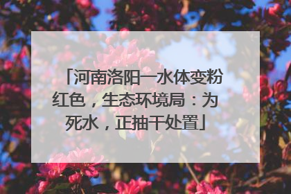 河南洛阳一水体变粉红色，生态环境局：为死水，正抽干处置