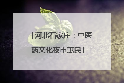 河北石家庄：中医药文化夜市惠民