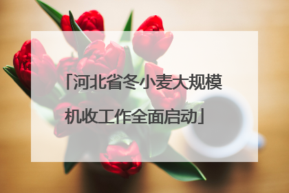 河北省冬小麦大规模机收工作全面启动