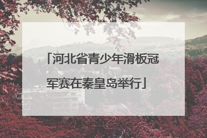 河北省青少年滑板冠军赛在秦皇岛举行
