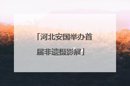 河北安国举办首届非遗摄影展