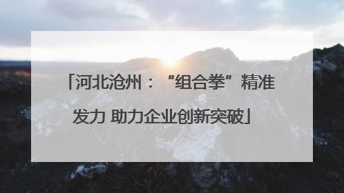 河北沧州：“组合拳”精准发力 助力企业创新突破