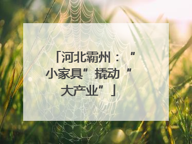 河北霸州：“小家具”撬动“大产业”