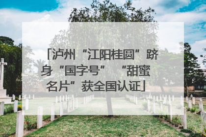 泸州“江阳桂圆”跻身“国字号” “甜蜜名片”获全国认证