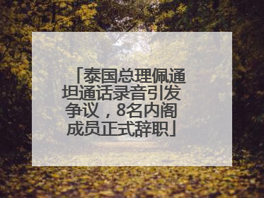 泰国总理佩通坦通话录音引发争议，8名内阁成员正式辞职