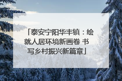 泰安宁阳华丰镇:绘就人居环境新画卷 书写乡村振兴新篇章