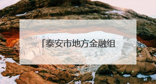 泰安市地方金融组织开展“筑牢战斗堡垒 护航经济发展”主题教育活动