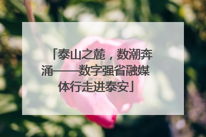 泰山之麓，数潮奔涌——数字强省融媒体行走进泰安