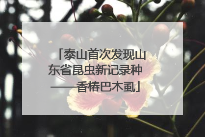 泰山首次发现山东省昆虫新记录种——香椿巴木虱