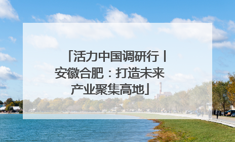 活力中国调研行丨安徽合肥：打造未来产业聚集高地