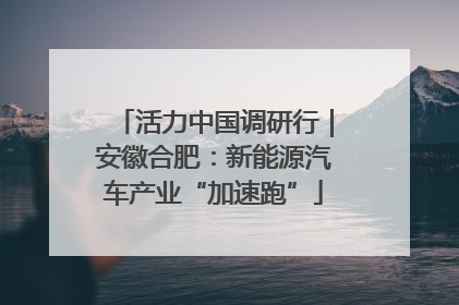活力中国调研行｜安徽合肥：新能源汽车产业“加速跑”