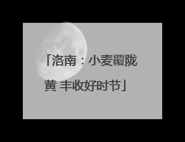 洛南：小麦覆陇黄 丰收好时节