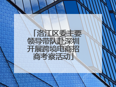 洛江区委主要领导带队赴深圳开展跨境电商招商考察活动