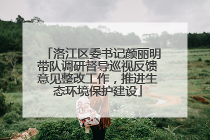 洛江区委书记颜丽明带队调研督导巡视反馈意见整改工作，推进生态环境保护建设