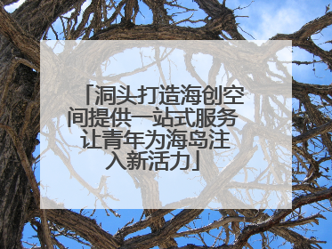 洞头打造海创空间提供一站式服务 让青年为海岛注入新活力