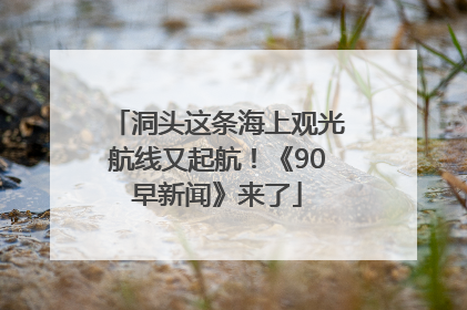 洞头这条海上观光航线又起航！《90早新闻》来了