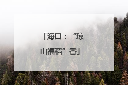 海口：“琼山福稻”香