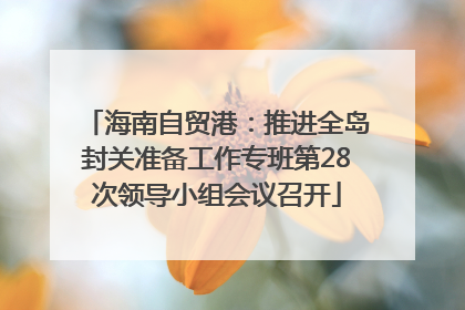 海南自贸港：推进全岛封关准备工作专班第28次领导小组会议召开