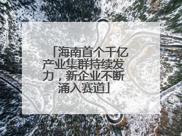 海南首个千亿产业集群持续发力，新企业不断涌入赛道