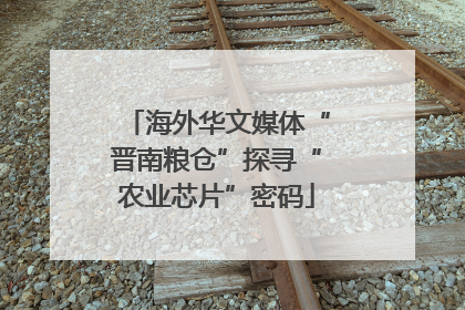 海外华文媒体“晋南粮仓”探寻“农业芯片”密码