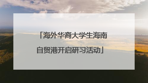 海外华裔大学生海南自贸港开启研习活动