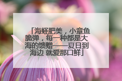 海蛏肥美，小章鱼脆弹，每一种都是大海的馈赠——夏日到海边 就爱那口鲜