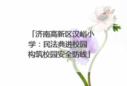 济南高新区汉峪小学：民法典进校园 构筑校园安全防线
