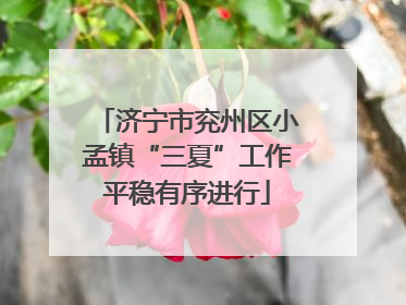 济宁市兖州区小孟镇“三夏”工作平稳有序进行