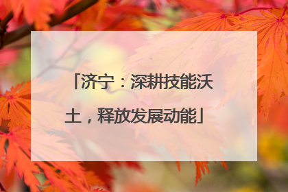 济宁：深耕技能沃土，释放发展动能