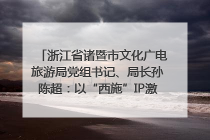 浙江省诸暨市文化广电旅游局党组书记、局长孙陈超：以“西施”IP激活全域旅游 打造县域文旅融合新标杆｜第七届全国县域旅游研究成果发布系列活动