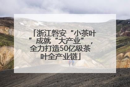 浙江磐安“小茶叶”成就“大产业”，全力打造50亿级茶叶全产业链