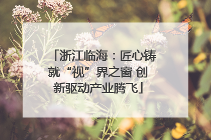 浙江临海：匠心铸就“视”界之窗 创新驱动产业腾飞