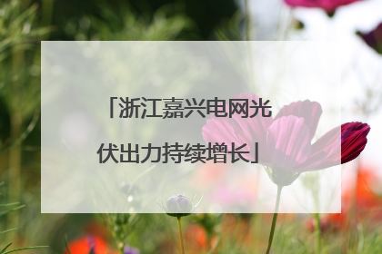 浙江嘉兴电网光伏出力持续增长