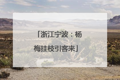 浙江宁波：杨梅挂枝引客来