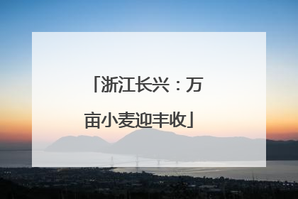 浙江长兴：万亩小麦迎丰收