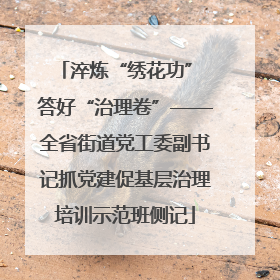 淬炼“绣花功” 答好“治理卷”——全省街道党工委副书记抓党建促基层治理培训示范班侧记