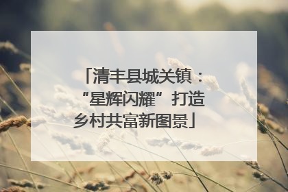 清丰县城关镇：“星辉闪耀”打造乡村共富新图景