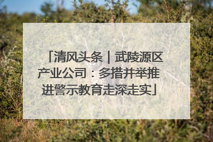 清风头条｜武陵源区产业公司：多措并举推进警示教育走深走实