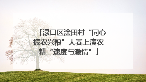 渌口区淦田村“同心振农兴粮”大赛上演农耕“速度与激情”