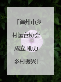温州市乡村运营协会成立 助力乡村振兴