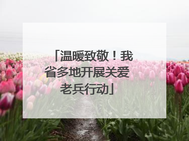温暖致敬！我省多地开展关爱老兵行动