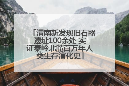 渭南新发现旧石器遗址100余处 实证秦岭北麓百万年人类生存演化史
