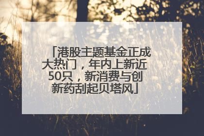 港股主题基金正成大热门，年内上新近50只，新消费与创新药刮起贝塔风