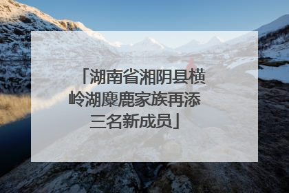湖南省湘阴县横岭湖麋鹿家族再添三名新成员
