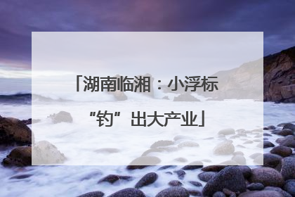 湖南临湘：小浮标“钓”出大产业