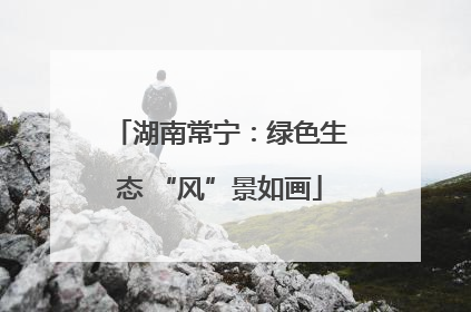 湖南常宁：绿色生态 “风”景如画