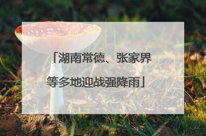湖南常德、张家界等多地迎战强降雨