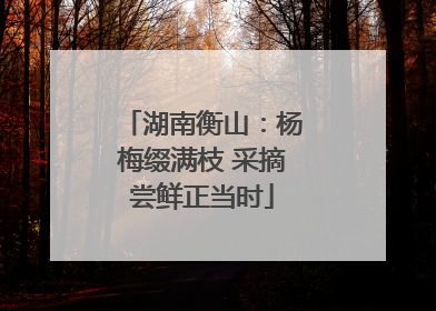 湖南衡山：杨梅缀满枝 采摘尝鲜正当时
